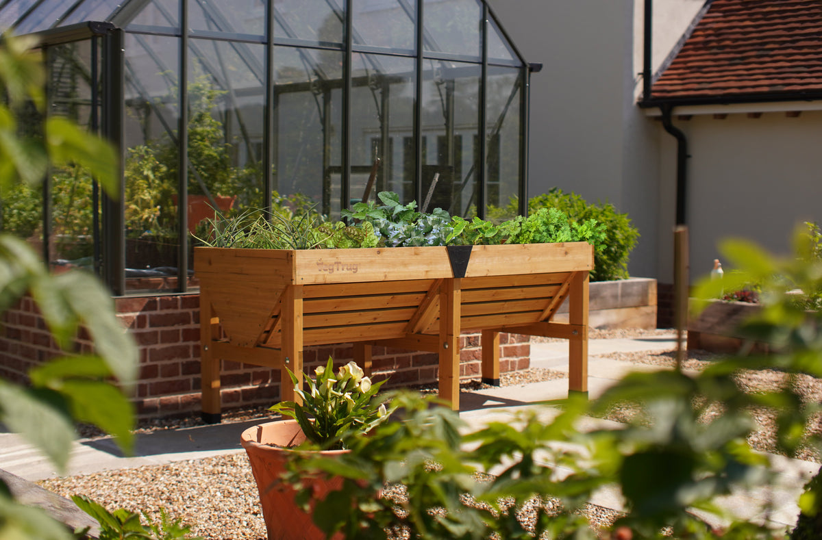 Raised Beds