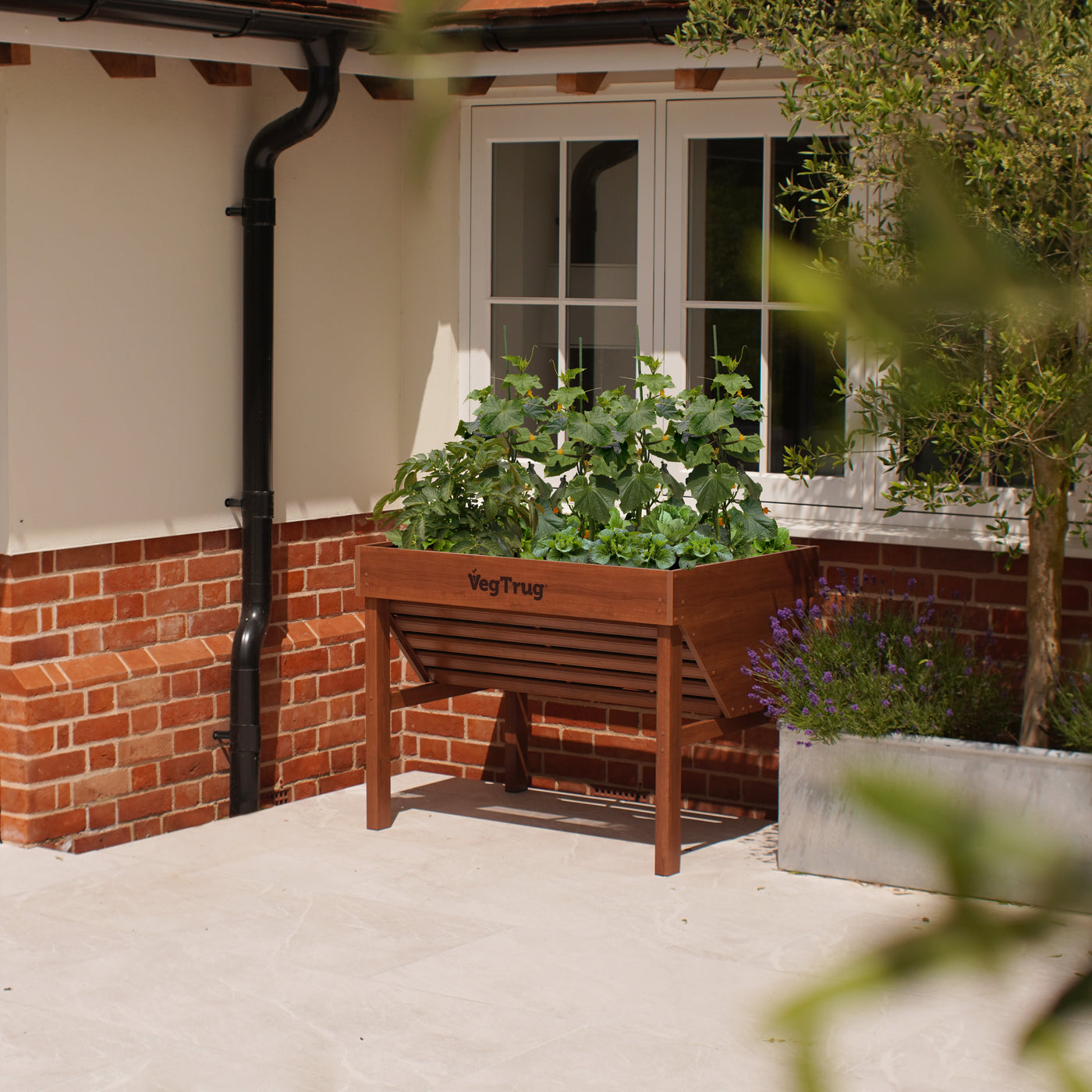 VegTrug Aluminium 1m