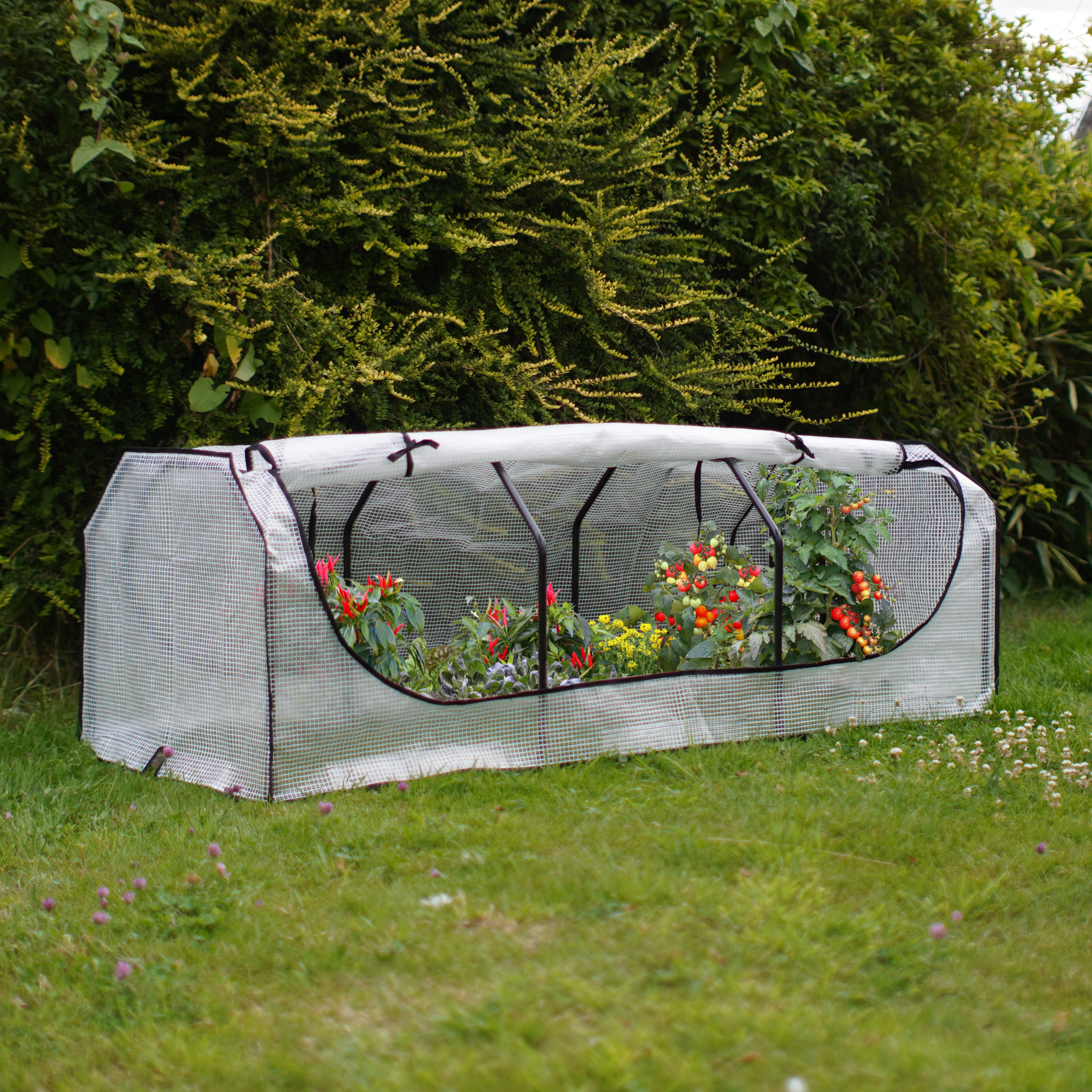 Grow Tunnel Greenhouse 2.1m