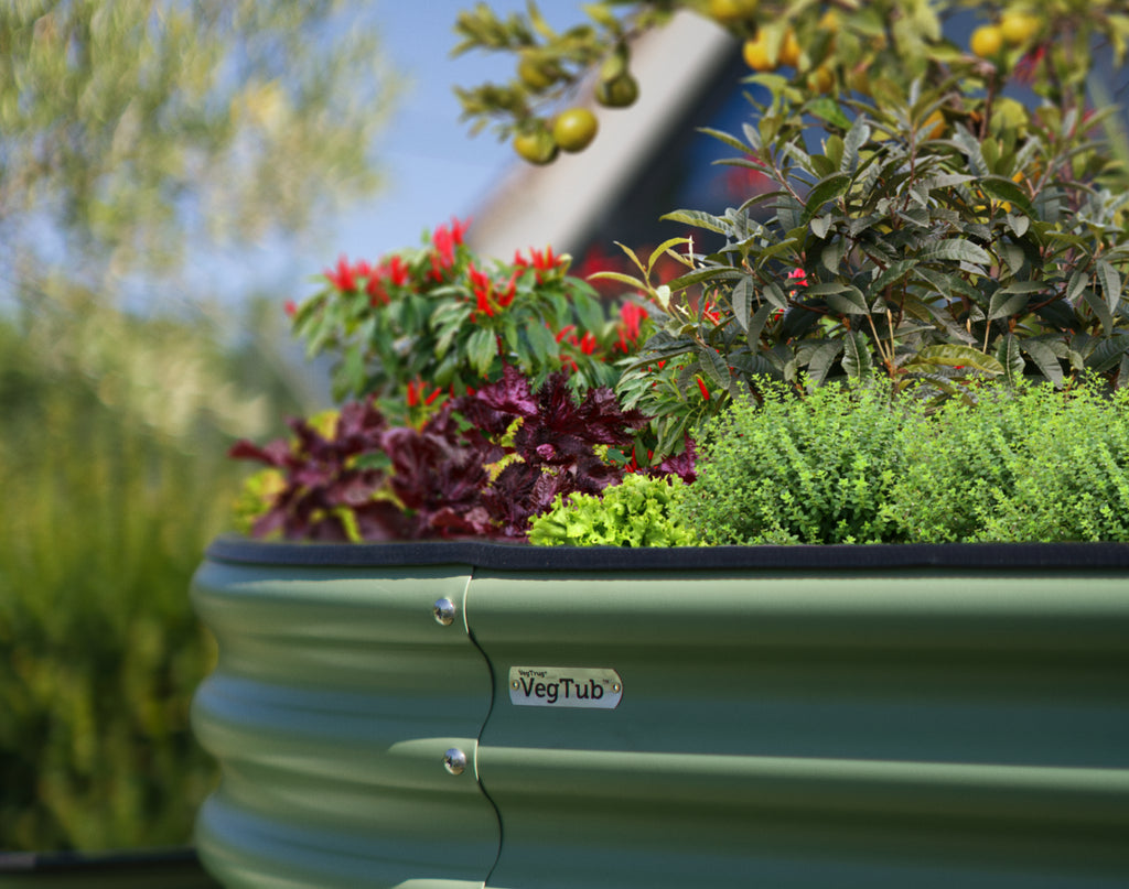 VegTub 3-Tier Modular Bed