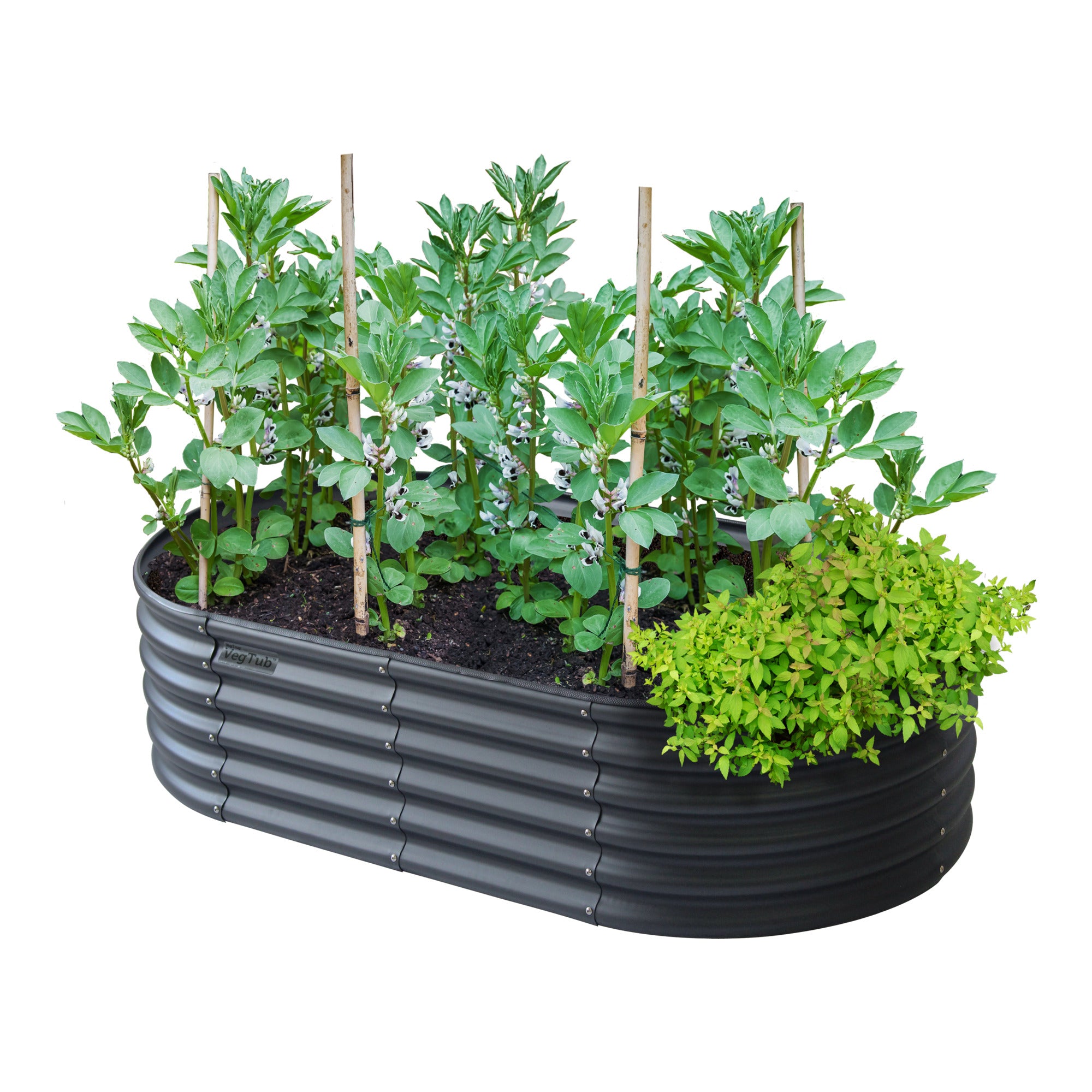 VegTub 6-in-1 Modular Bed